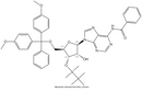 3'-TBDMS-A(Bz)-5'-DMT