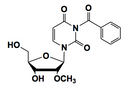 2'-OMe-Uridine (N-benzoyl)