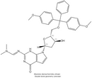 5'-DMT-7-deaza-dG(iBu)