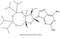3',5'-TIPDS-2'-O-Methyl-2,6-Diaminopurine riboside