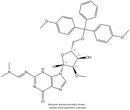 5'-DMT-2'-O-Me-Guanosine(N-dmf)