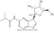 2-aminopurine-2-N-isobutyryl riboside