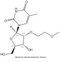 2'-MOE-5-Methyl Uridine