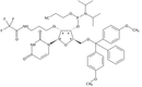 2'-O-Trifluoroacetoamidopropyl uridine 3'-CE Phosphoramidite