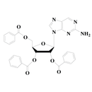 2-Aminopurine riboside tribenzoate