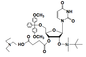 5'-DMT-2'-TBDMS-Uridine-Succinate TEA Salt