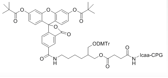 DMT-5-FAM LCAA CPG