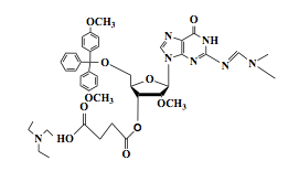 5'-DMT-2'-O-Me-Guanosine-(N-dmf)-3'-Succinate TEA