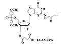 5'-O-DMT-2'-F-Guaonsine-(iBu)-3'-LCAA CPG