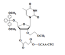 5'-O-DMT-2'-MOE-Thymidine-3'-LCAA CPG