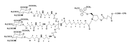 Tri-GalNAc-(DMT)-LCAA-CPG