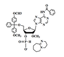 5'-DMT-2'-OMe-N-Benzoyl-Adenosine H Phosphonate DBU Salt
