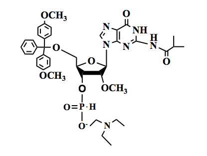 5'-DMT-2'-OMe-G(iBu) H-Phosphonate Monomer TEA