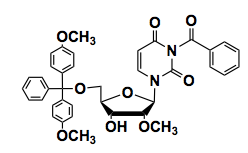 5'-DMT-2'-OMe-U(bz)