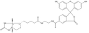 Biotin-4-Fluorescein