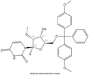5’ – DMT – 2’- OMe - Uridine