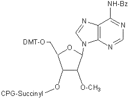 2'-O-Methyl-A(Bz)-Suc-CPG