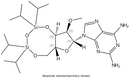 3',5'-TIPDS-2'-O-Methyl-2,6-Diaminopurine riboside