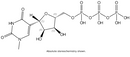 N1-Methylpseudouridine-5'-Triphosphate