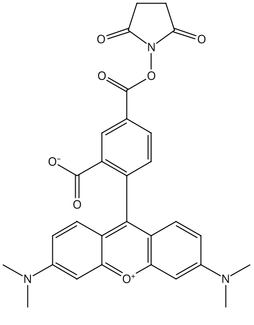 5-Carboxytetramethylrhodamine succinimidyl ester