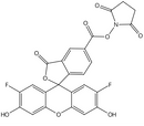 Oregon Green™ 488 Carboxylic Acid, Succinimidyl Ester, 5-isomer