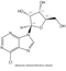 6-chloropurine-9-riboside