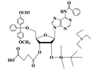 5'-DMT-2'-O-TBDMS-Adenosine-N6-Benzoyl-3’-Succinate, Triethylamine salt