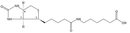 Biotinyl-6-aminohexanoic acid