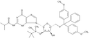 2'-O-TBDMS-5'-O-DMT-N2-isobutyryl-guanosine