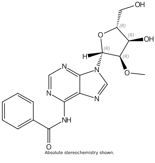 2'–OMe Adenosine(bz)