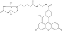 Biotin 5-Fluorescein