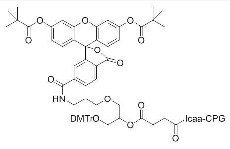 6-FAM LCAA CPG (DMT)
