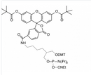 DMT-Fluorescein Phosphoramidite