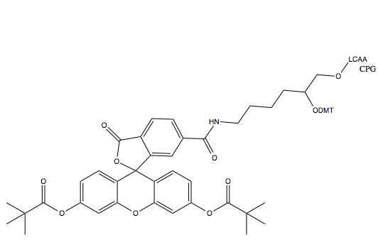 6-Fluorescein CPG