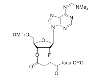 2'-Fluoro Adenosine (N,N-DMF) 3'-lcaa CPG