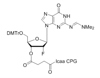 2'-Fluoro Guanosine (N,N-DMF) 3'-lcaa CPG