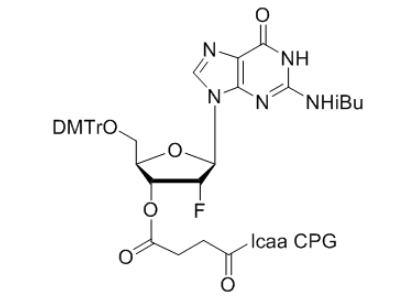2'-Fluoro Guanosine (n-ibu)-3'-succinyl lcaa CPG