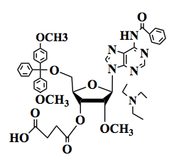 5'-DMT-2'-OMe-A(bz) Succinate TEA Salt