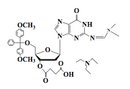 5'-O-DMT-2'-deoxyguanosine-(N-dmf)-3'-O-Succinate TEA