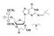 5'-O-DMT-2'-deoxyguanosine-(N-dmf)-3'-O-Succinate TEA