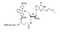 5'-DMT-2'-O-Me-Guanosine-(N-dmf)-LCAA CPG