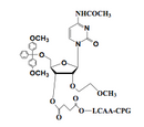 5'-O-DMT-2'-MOE-Cytidine(Ac)-3'-LCAA CPG