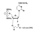 5'-O-DMT-2'-F-Cytidine(Ac)-3'-LCAA CPG
