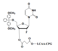 5'-O-DMT-2'-F-Uridine-3'-LCAA CPG