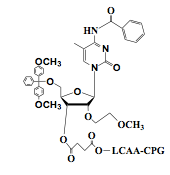 5'-O-DMT-2'-MOE-5-Me Cytidine(bz)-3'-LCAA CPG