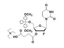 5'-DMT-2'-F-Uridine Succinate